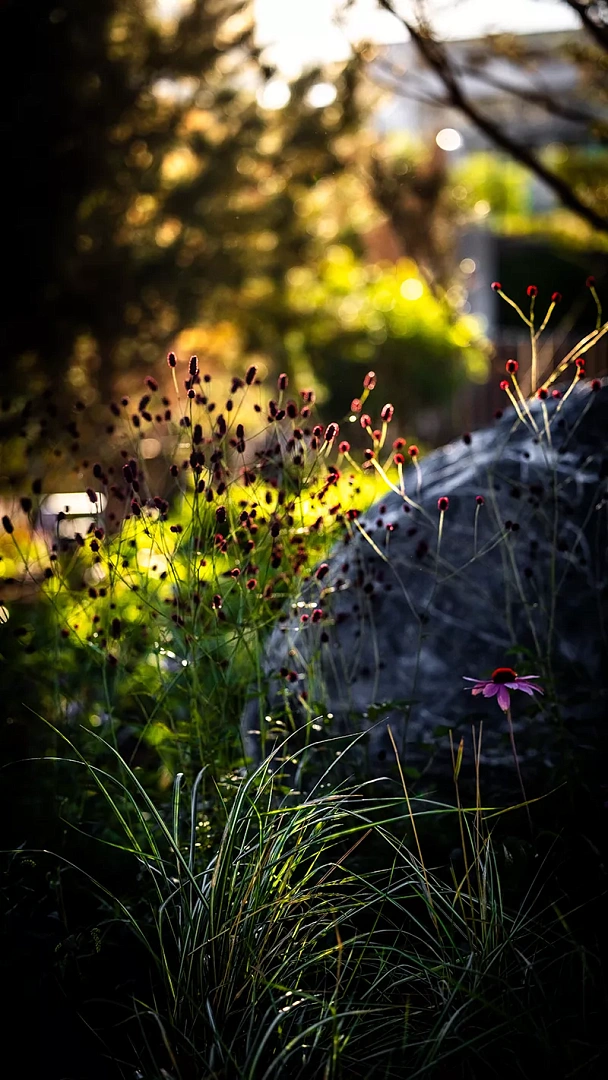 home-park-gallery-i1