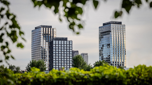 Выручка «Пионер» увеличилась до 76 млрд рублей согласно консолидированной финансовой отчетности по МСФО за 2025 год